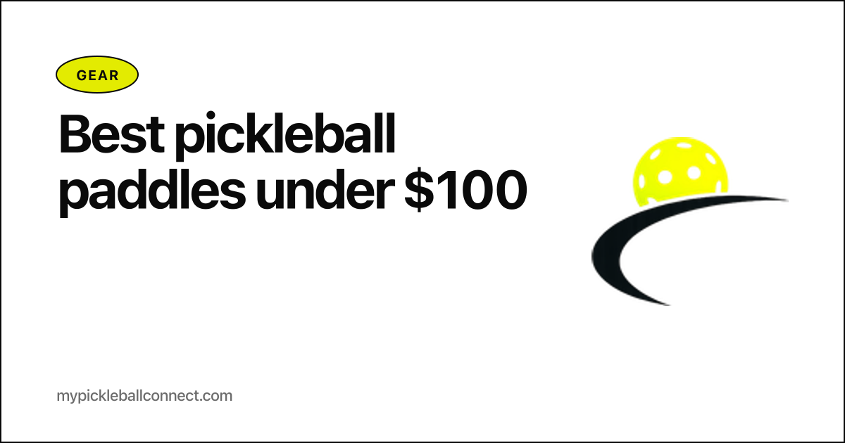 Best pickleball paddles under $100